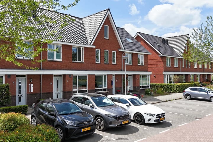 Foto 51 van Klimroos 12