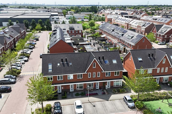 Foto 52 van Klimroos 12