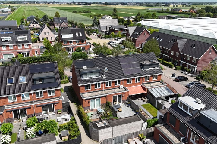 Foto 53 van Klimroos 12