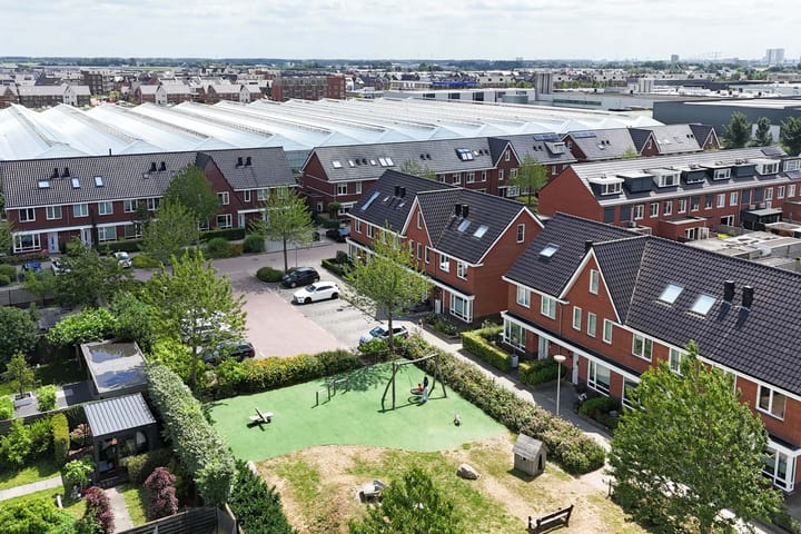 Foto 54 van Klimroos 12