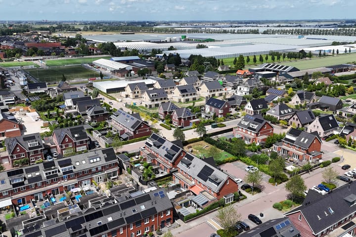 Foto 55 van Klimroos 12