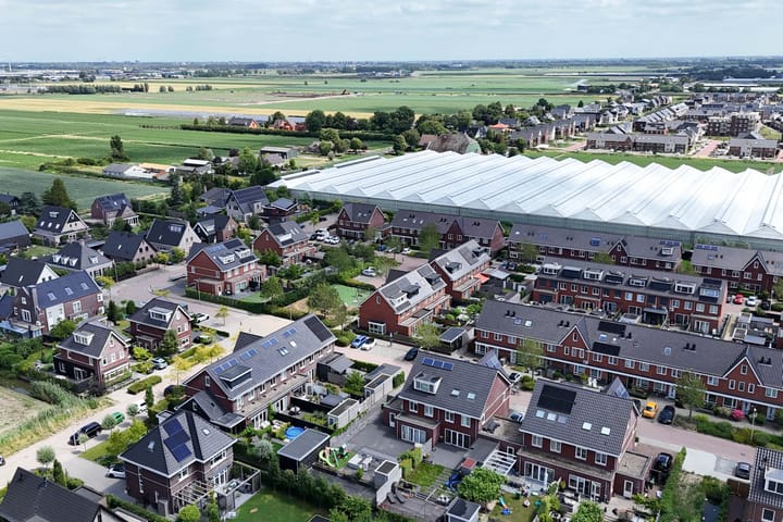 Foto 56 van Klimroos 12