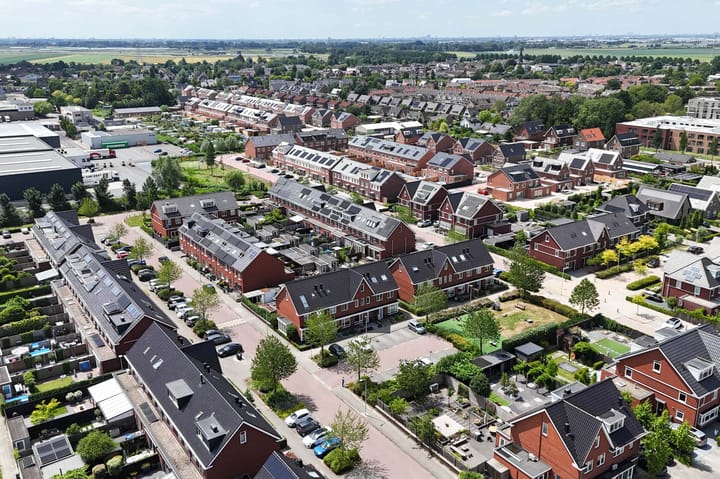 Foto 57 van Klimroos 12