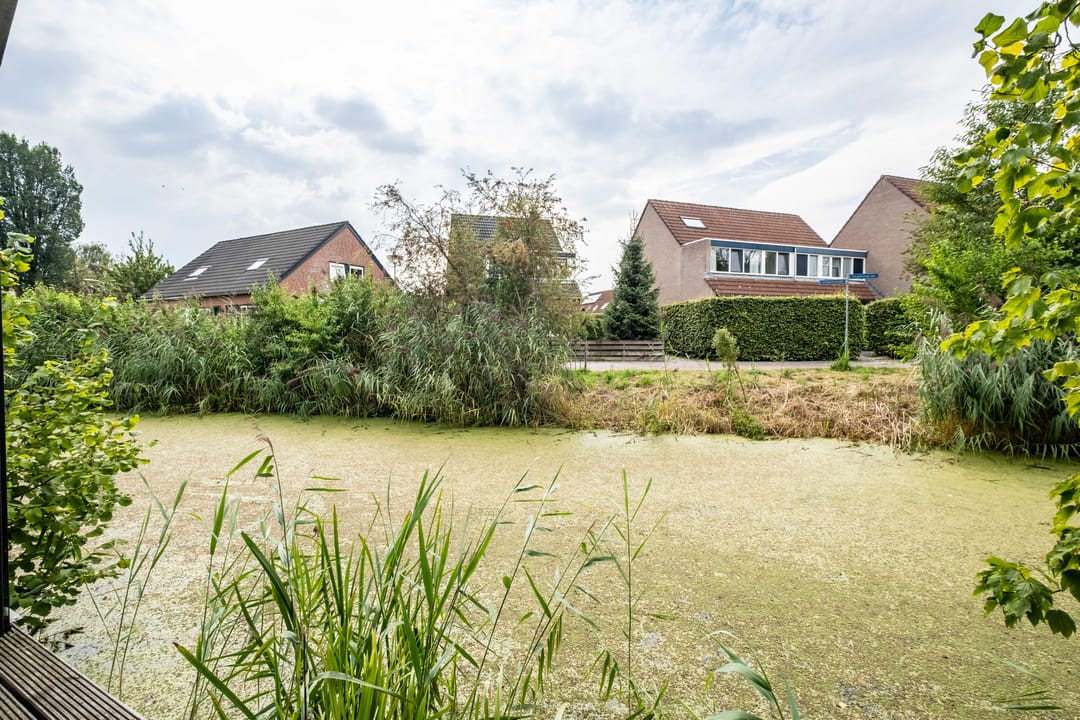 Foto 52 van Epemastate 11