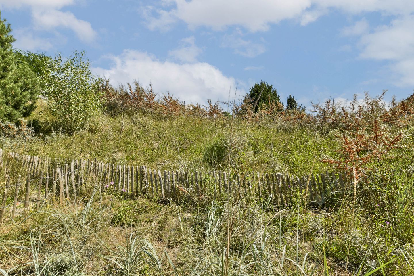 Photo 14 of Duintopstraat 6