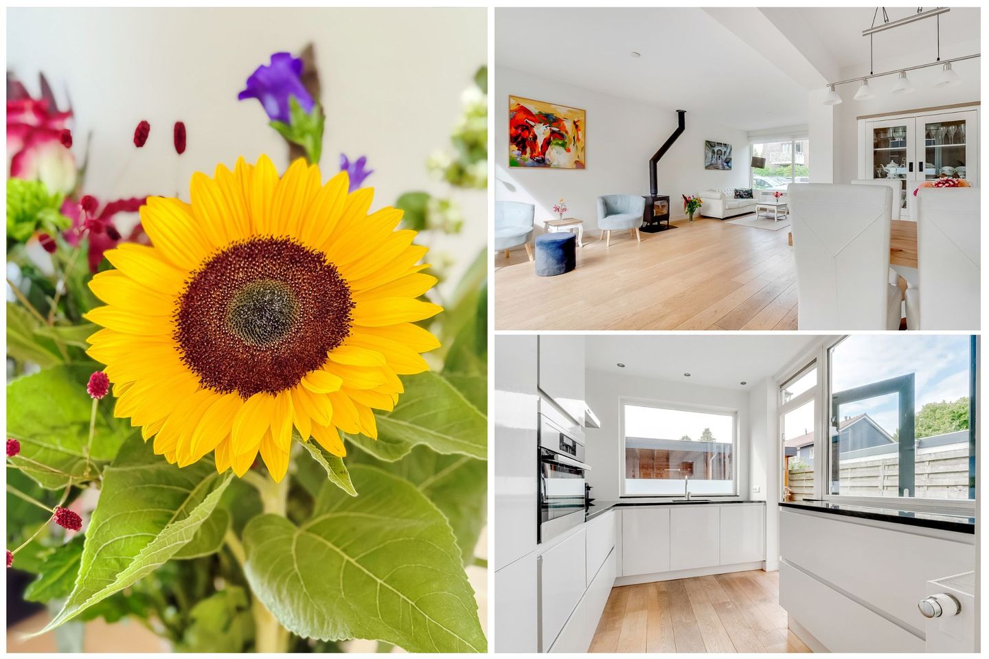 Photo 10 of Dr. Ramaerlaan 27