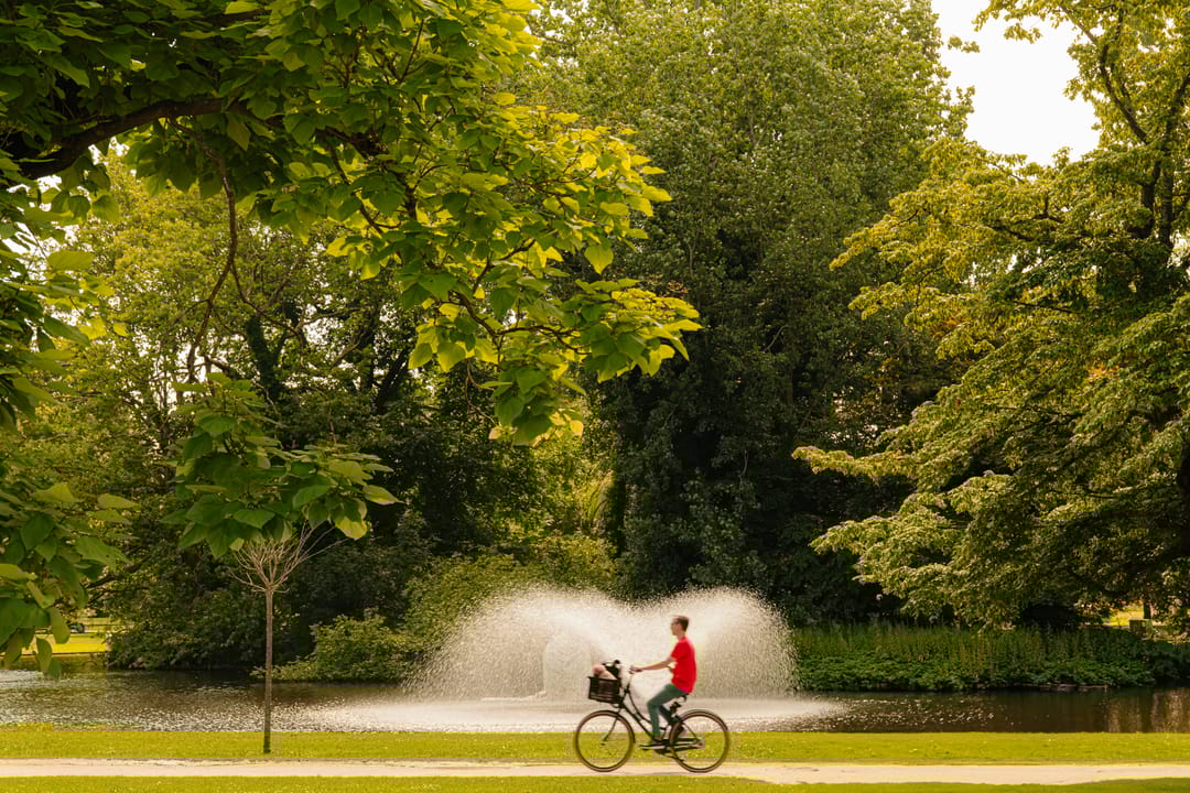 Foto 43 van Narva-eiland 137