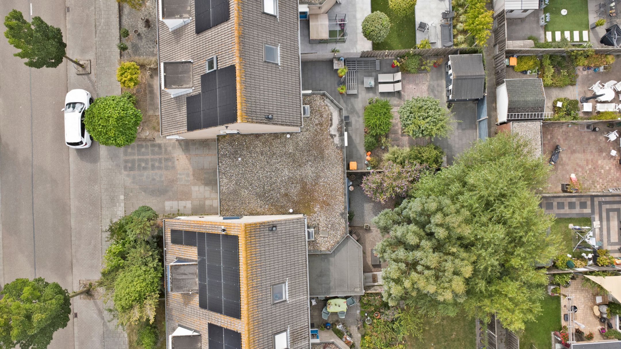 Foto 33 van Rosenburglaan 275