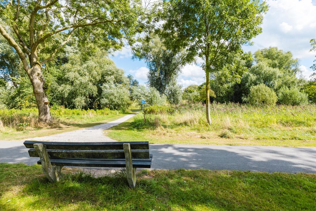 Foto 31 van Dennenstraat 50