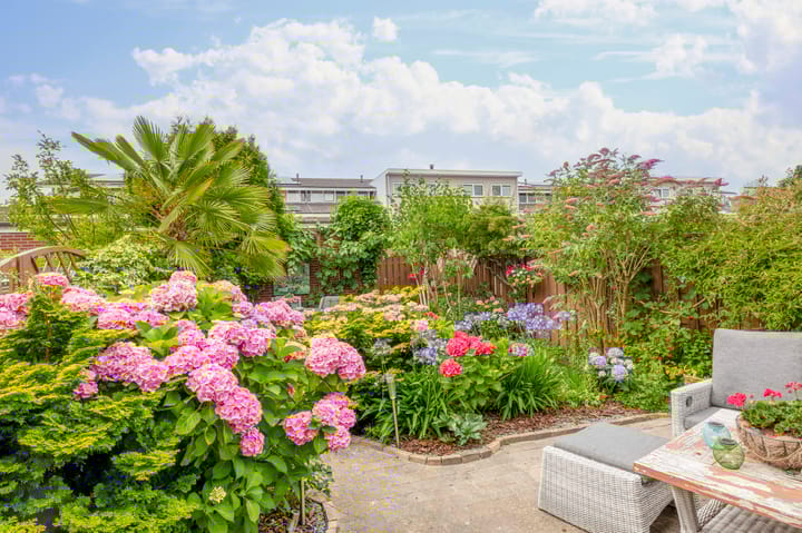 Foto 17 van Hazerswoudestraat 111