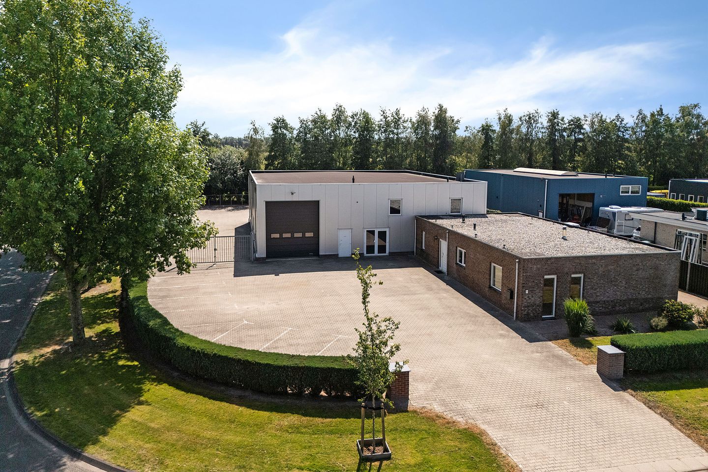 Foto 1 van Saffraan 1