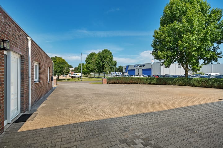 Foto 5 van Saffraan 1