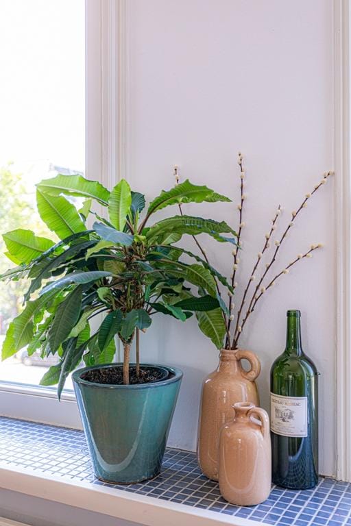 Foto 26 van Laan van Meerdervoort 336-1