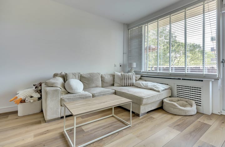 Foto 2 van Maassingel 162