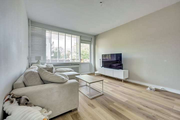 Foto 3 van Maassingel 162