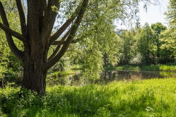 Foto 20 van Waddenstraat 701