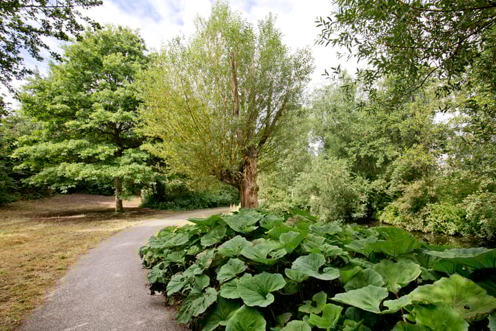 Foto 21 van Waddenstraat 701