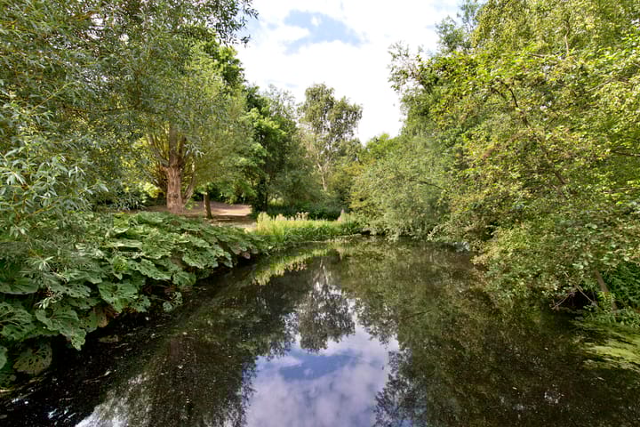 Foto 22 van Waddenstraat 701