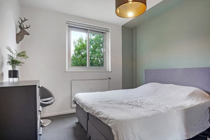 Foto 12 van Maassingel 162