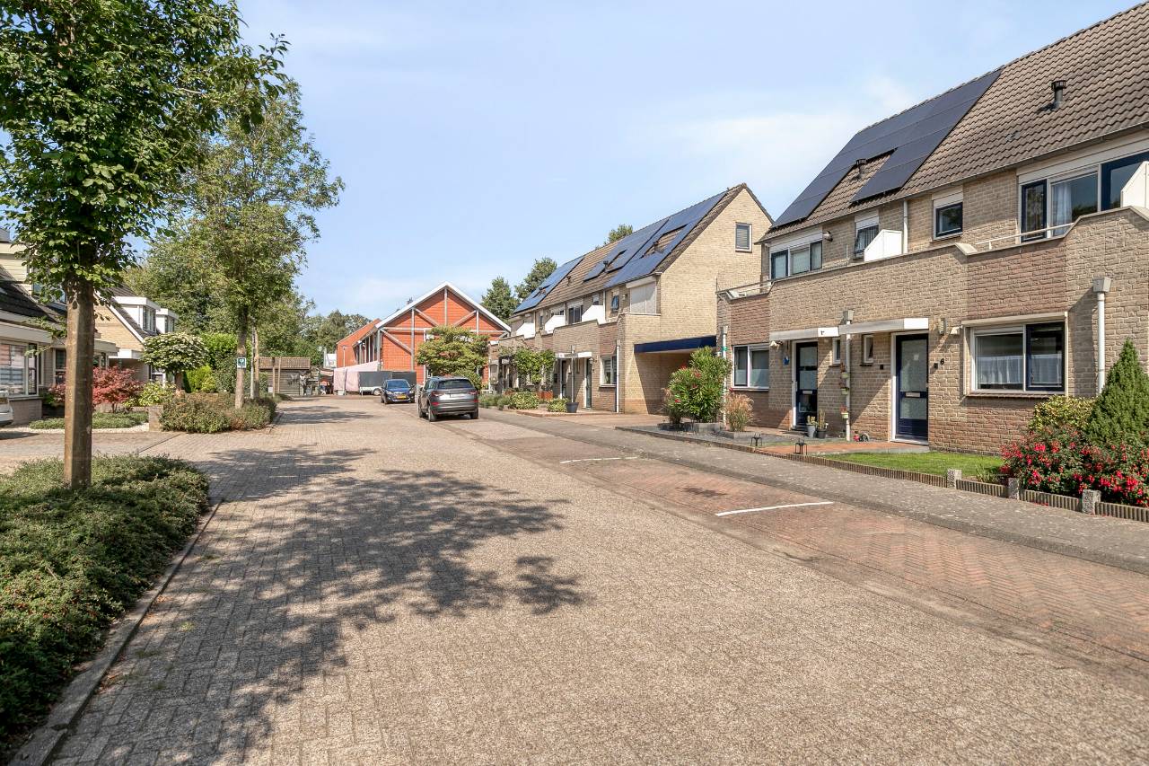 Photo 3 of Donkerbos 6