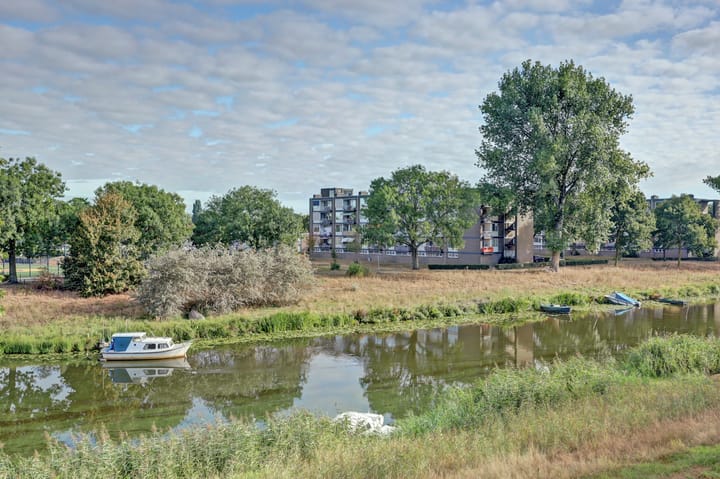 Foto 25 van Maassingel 162