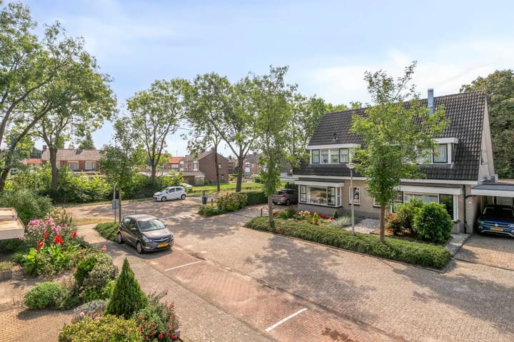 Photo 21 of Donkerbos 6