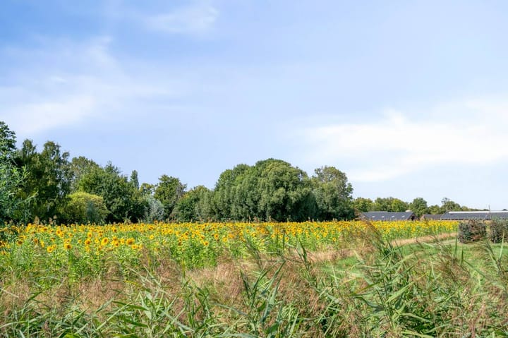 Photo 40 of Donkerbos 6