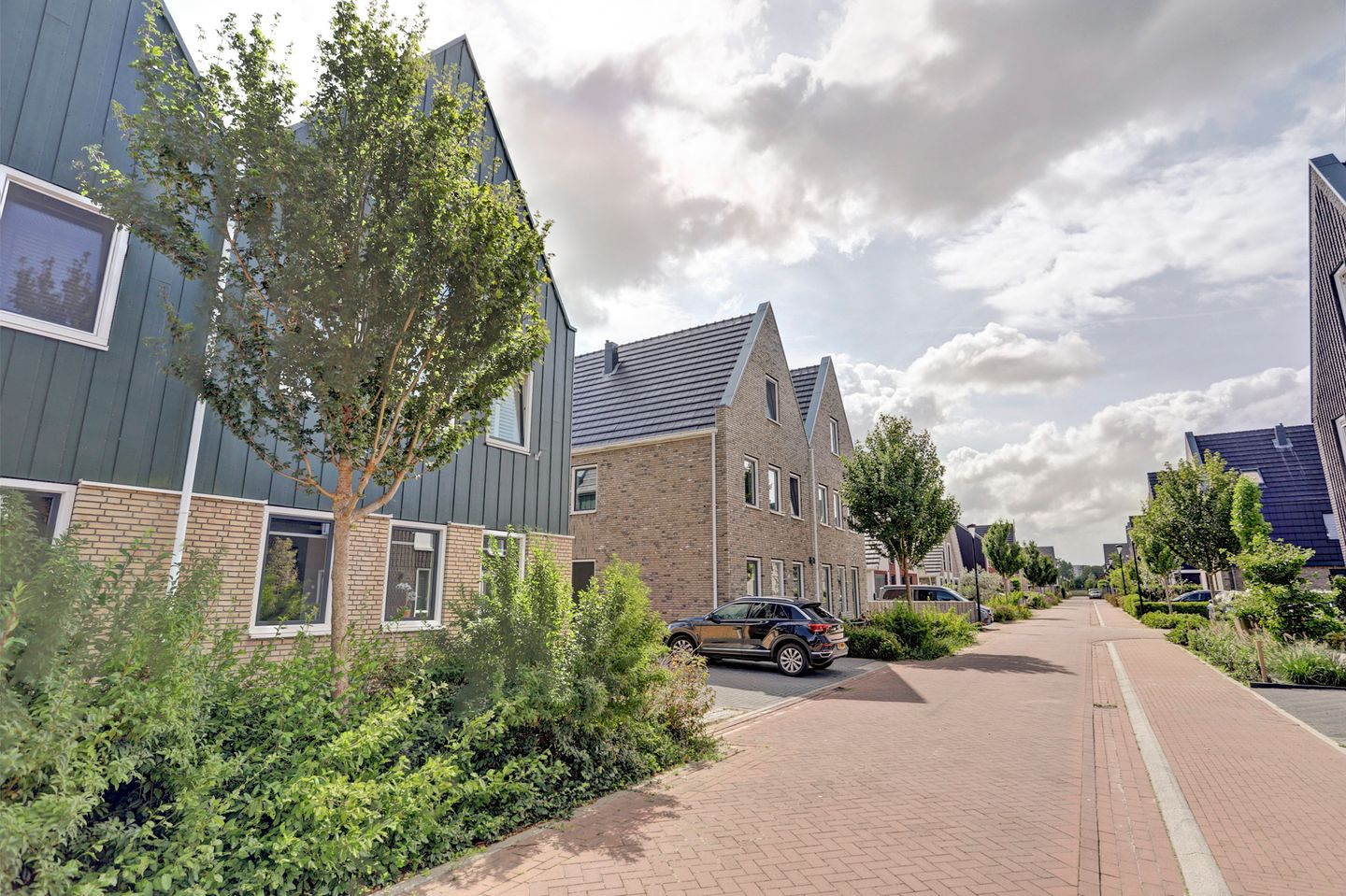 Photo 34 of Kabeljauw 22