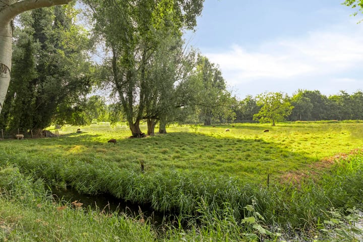 Photo 29 of Scharwoude 26