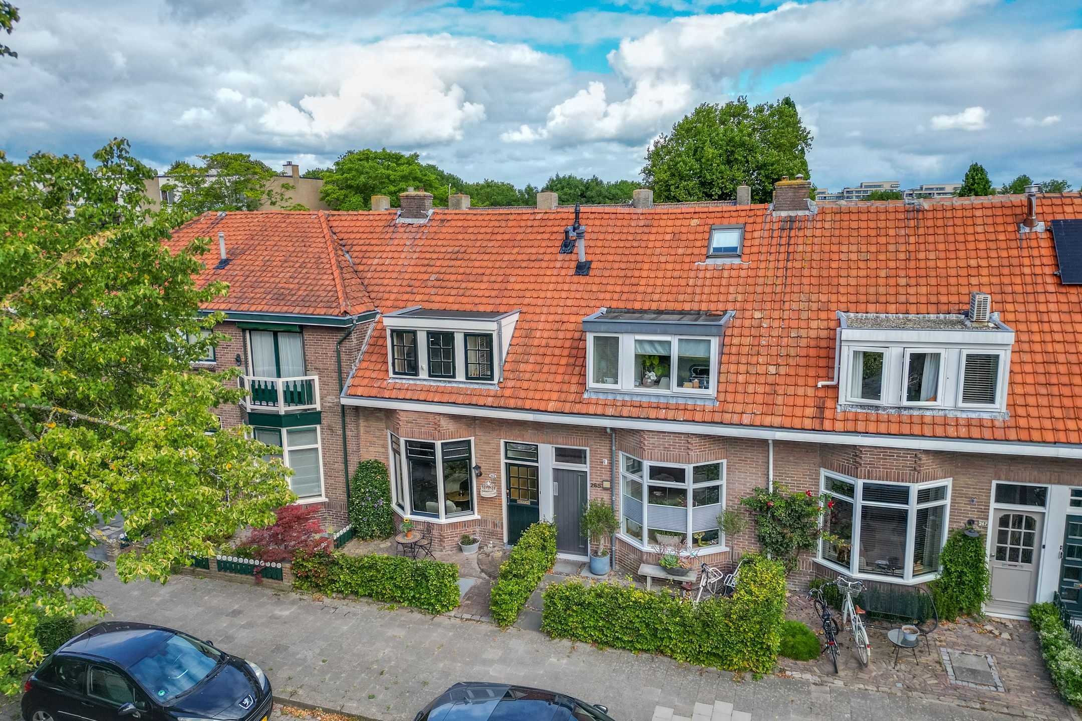 Photo 45 of Drieboomlaan 263