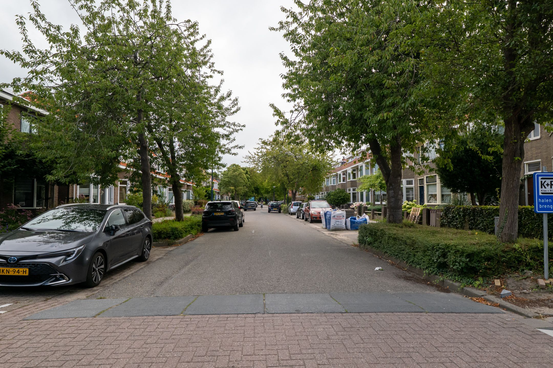 Photo 48 of Drieboomlaan 263