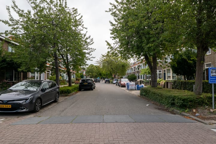 Foto 48 van Drieboomlaan 263