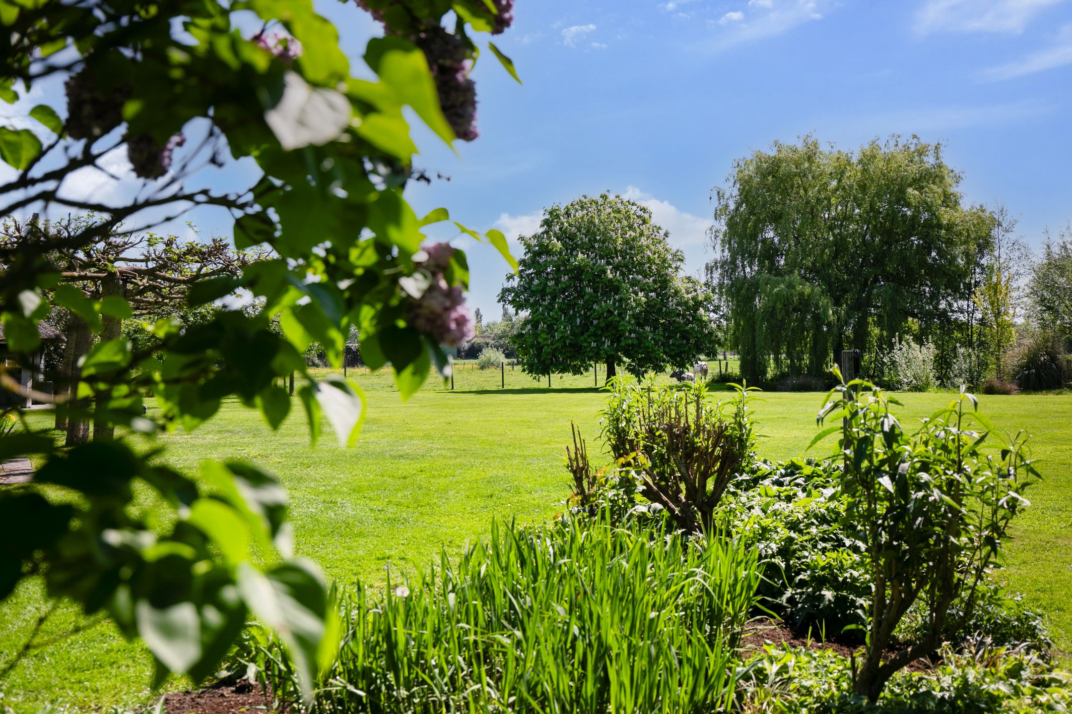 Photo 51 of Hogebrinkerweg 56