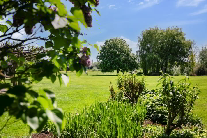 Photo 51 of Hogebrinkerweg 56