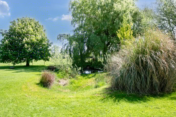 Photo 55 of Hogebrinkerweg 56