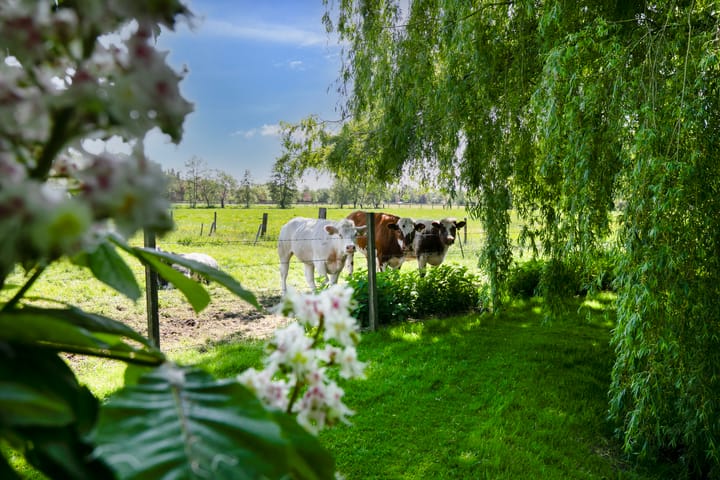 Photo 56 of Hogebrinkerweg 56