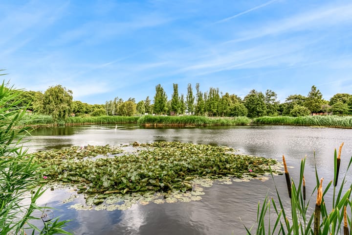 Photo 49 of Uniceflaan 30