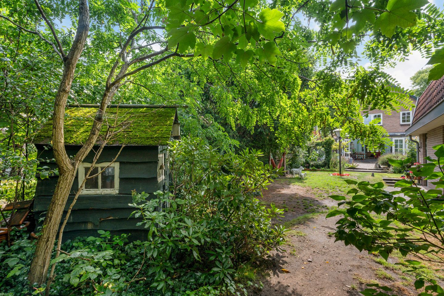 Photo 29 of Burgemeester Patijnlaan 64