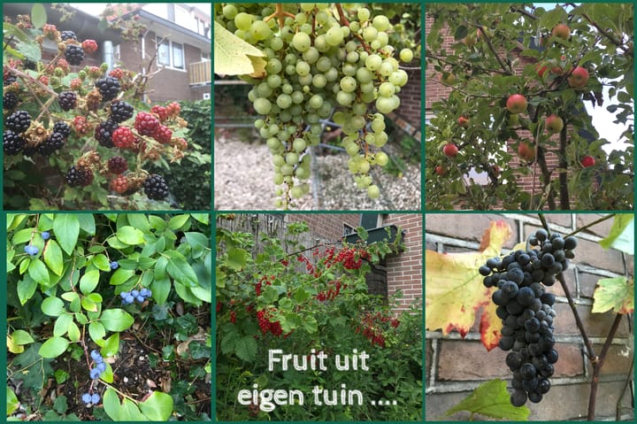 Foto 40 van Burgemeester Patijnlaan 64