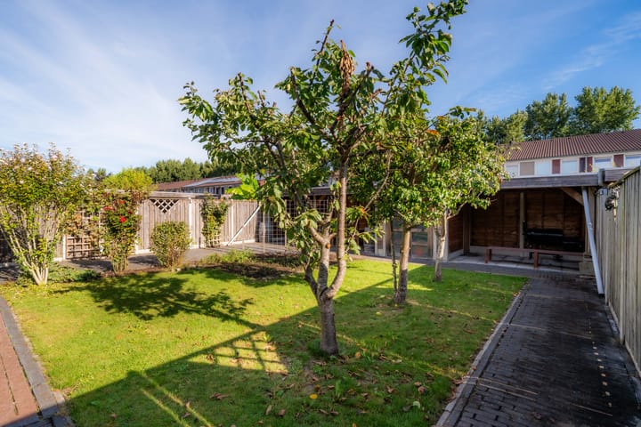 Foto 38 van Troffel 26