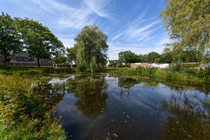 Foto 52 van Erica 42