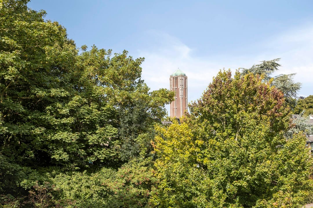 Foto 8 van Roerdomplaan 57