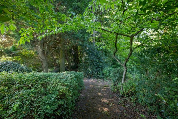 Foto 56 van Swagermanweg 3