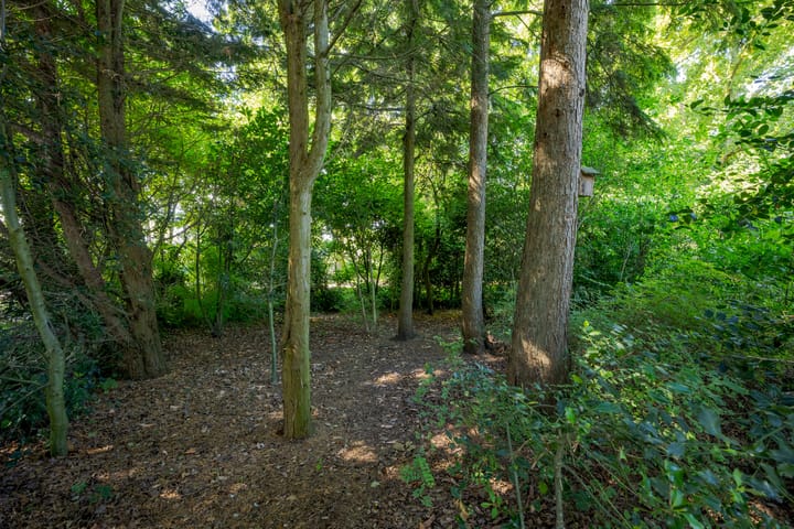 Foto 57 van Swagermanweg 3