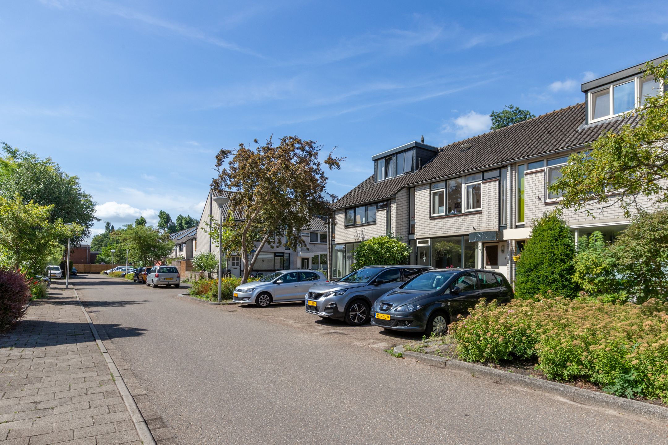 Foto 48 van Landluststraat 95