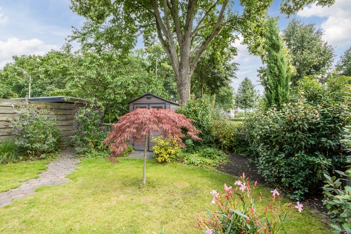 Foto 40 van De Punter 25