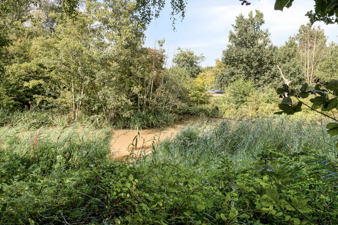 Photo 37 of Mozartlaan 68