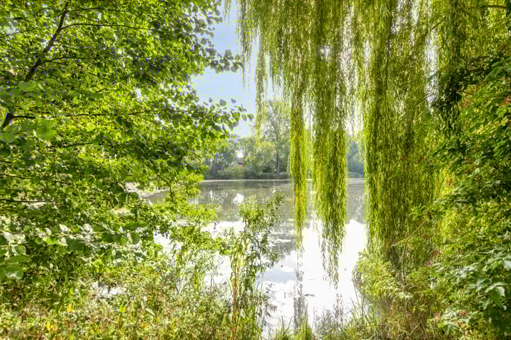 Foto 32 van Burgemeester Timmermanslaan 9