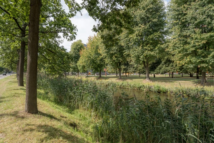 Foto 65 van Wilhelminasingel 27