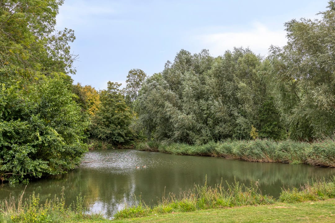 Foto 16 van Jan Steenstraat 5-A